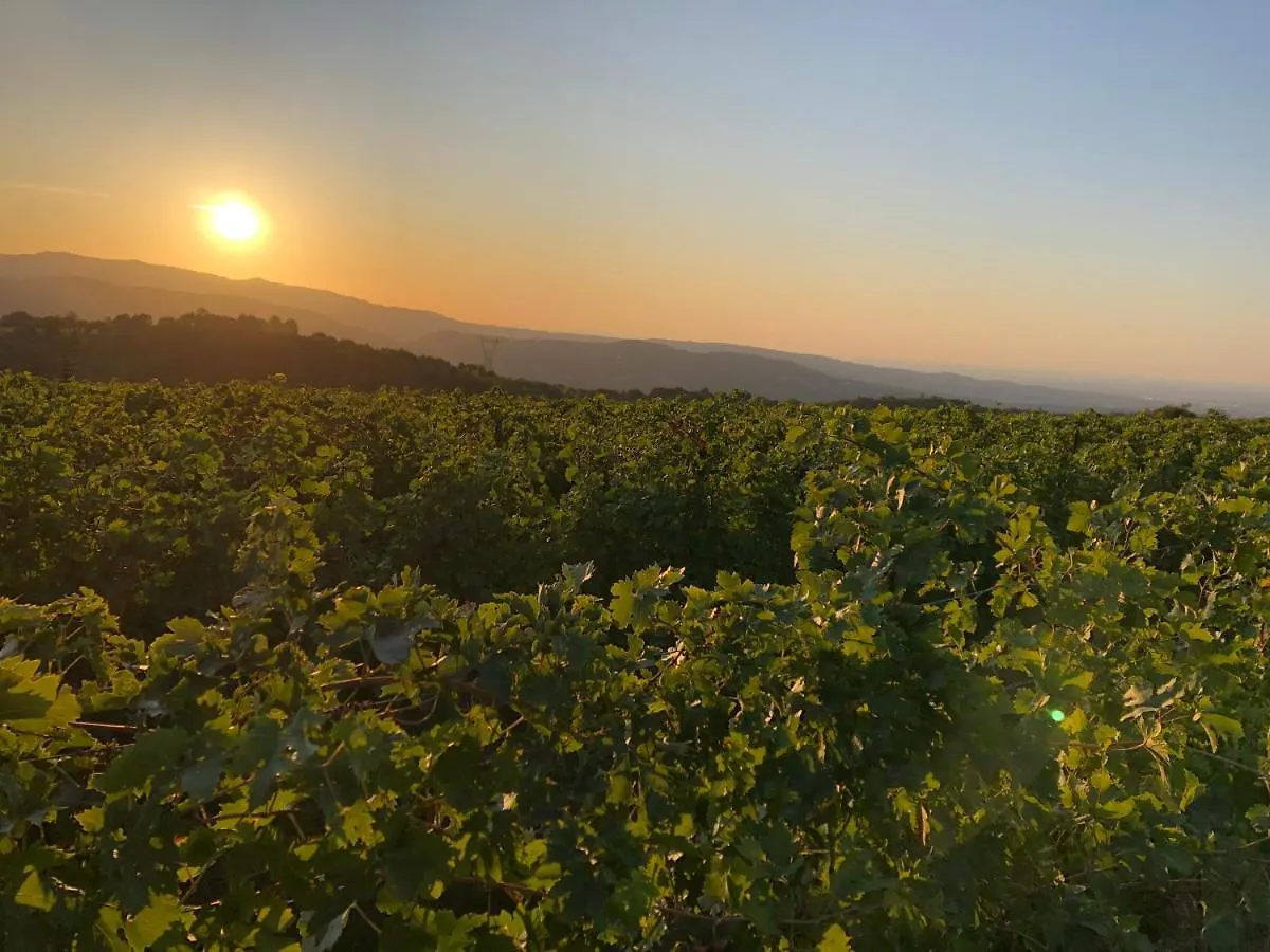 Ferienwohnung Dimora Le Colline Verona Italien